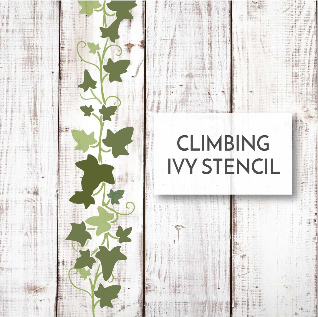 Climbing Ivy Vine / Pattern Stencil – WallCutz Crafts climbing-ivy-vine-pattern-stencil-wallcutz-crafts