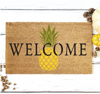WallCutz Stencil Welcome Pineapple - door mat stencil